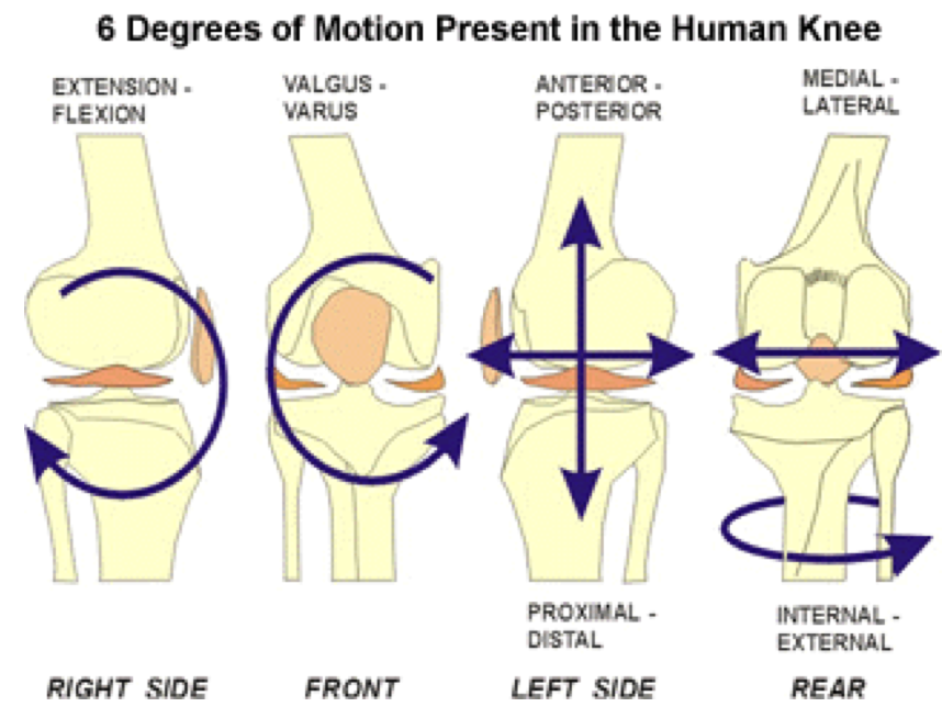 Максимальные движения суставов. Биомеханика коленного сустава. Движения в коленном суставе. Коленный сустав движения по осям. Коленный сустав оси движения.
