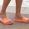 Archies Slides - Image 4